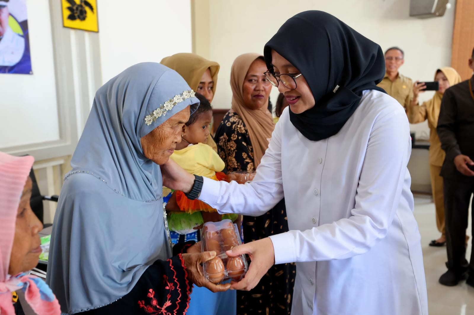 peternakan ayam petelur