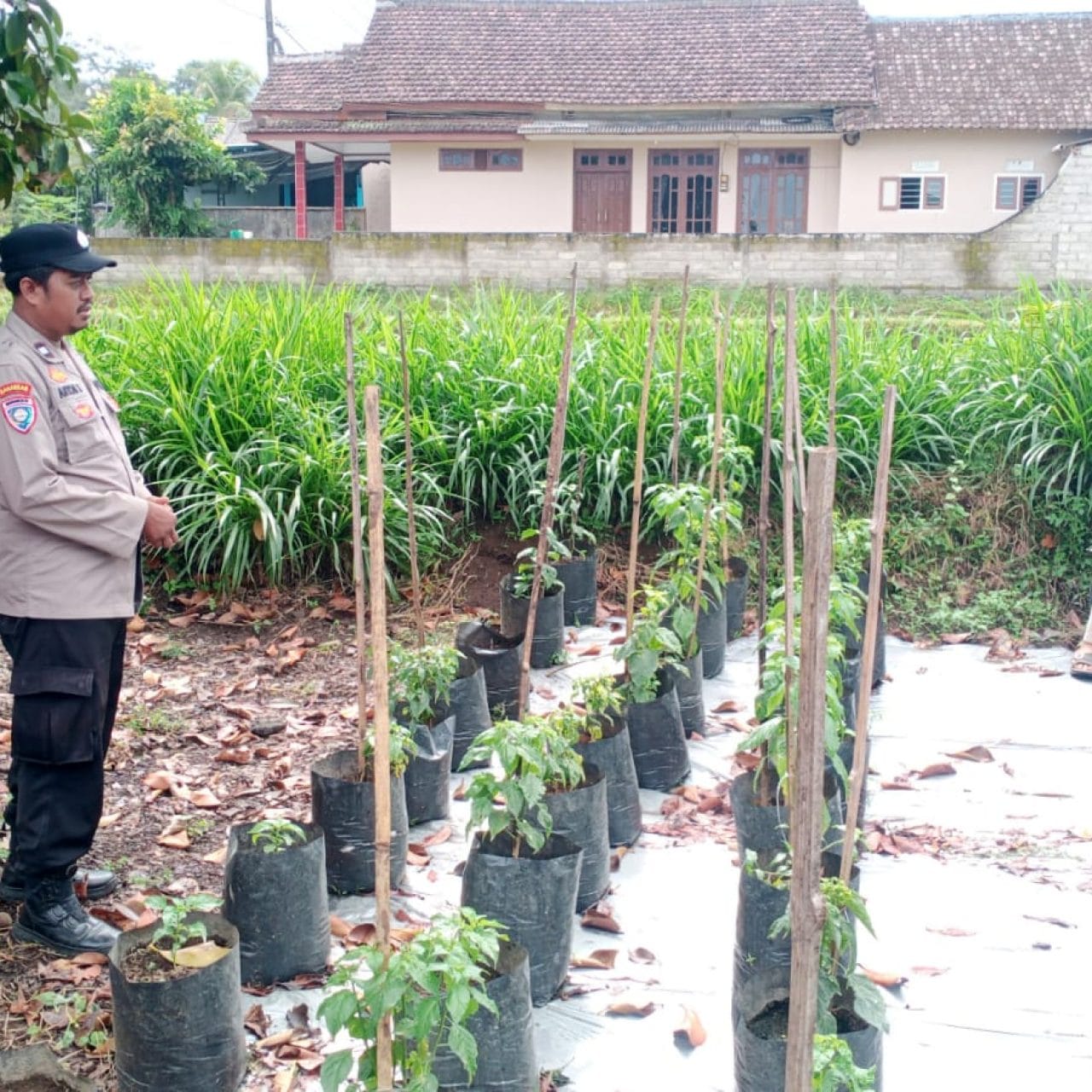 Pimpinan Komisi III DPR Apresiasi Polri Tindak 3.326 Kasus Premanisme