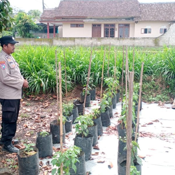 Pimpinan Komisi III DPR Apresiasi Polri Tindak 3.326 Kasus Premanisme