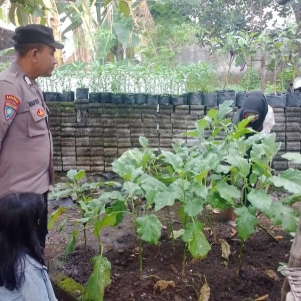 Polisi dan Kelompok Wanita Tani di Banyuwangi Aktif Berdayakan Pekarangan Pangan Lestari Dukung Ketahanan Pangan Nasional