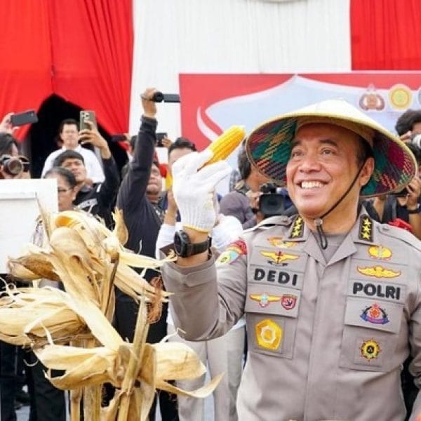 Irwasum Pamer Kerja Gugus Tugas Ketahanan Pangan Polri, Produksi Jagung Naik