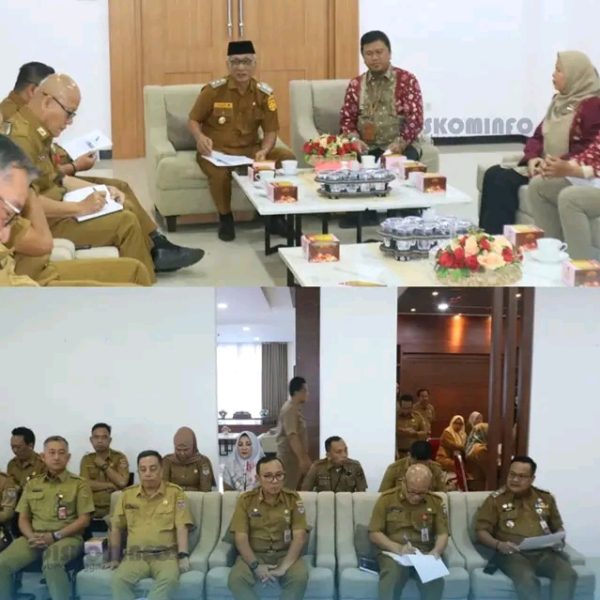 Wakil Wali Kota Lubuk Linggau Terima Tim BPK 