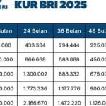 KUR BRI 2025