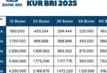KUR BRI 2025