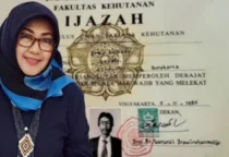 kasus ijazah palsu Jokowi
