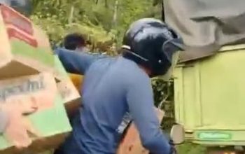 viral penjarahan mi instan