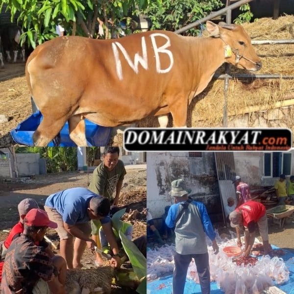 Komunitas Info Warga Banyuwangi (IWB) Laksanakan Qurban Kedua di Masjid Al-Mukhlisin