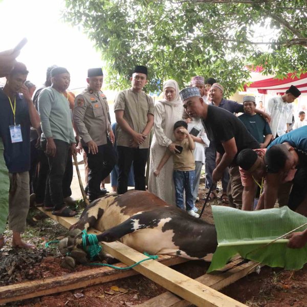 Polres Banyuasin Rayakan Idul Adha 1446 H dengan 19 Hewan Kurban untuk Warga
