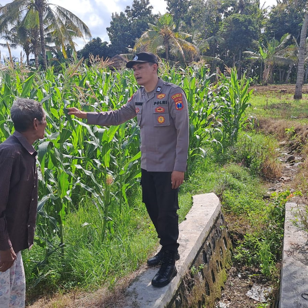 Dukung Asta Cita Presiden Prabowo Subianto, Polresta Banyuwangi Dampingi Petani Jagung