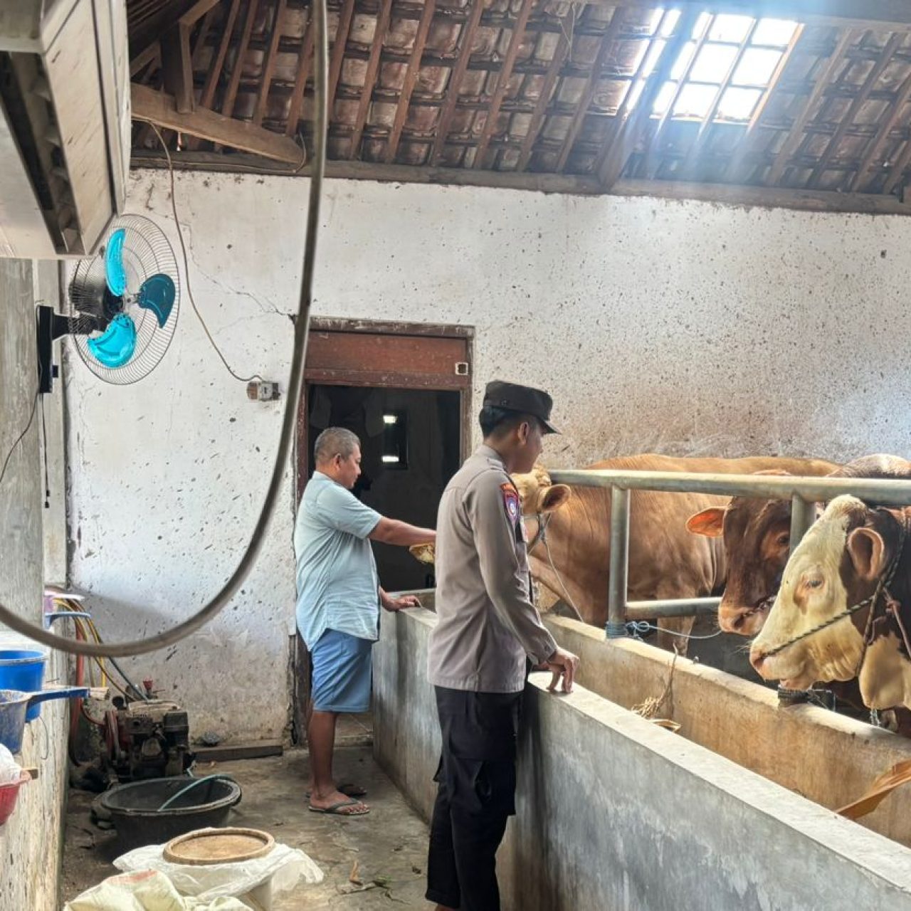 Dukung Asta Cita Presiden Prabowo Subianto, Polresta Banyuwangi Genjot Peternakan Sapi Rakyat