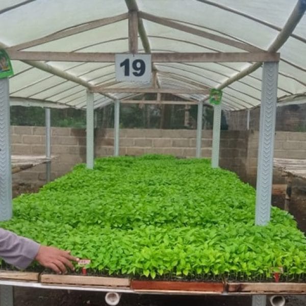 Polsek Sempu Optimalkan Progam Asta Cita Presiden Prabowo, Kunjungi Pekarangan Cabai Warga Jambewang