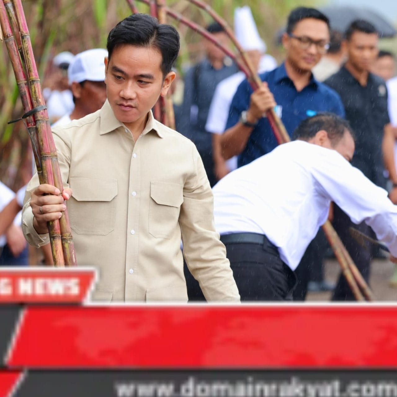 Ke Banyuwangi Wapres Panen Tebu, dan Dialog Bersama Petani dari Berbagai Wilayah di Indonesia
