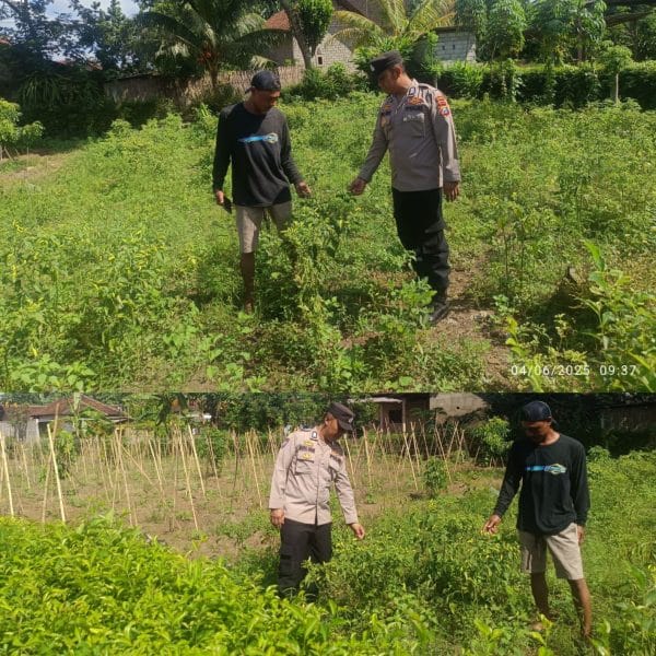 Polisi di Banyuwangi Aktif Berdayakan Pekarangan Pangan Lestari Dukung Program Presiden Prabowo Subianto Ketahanan Pangan Nasional