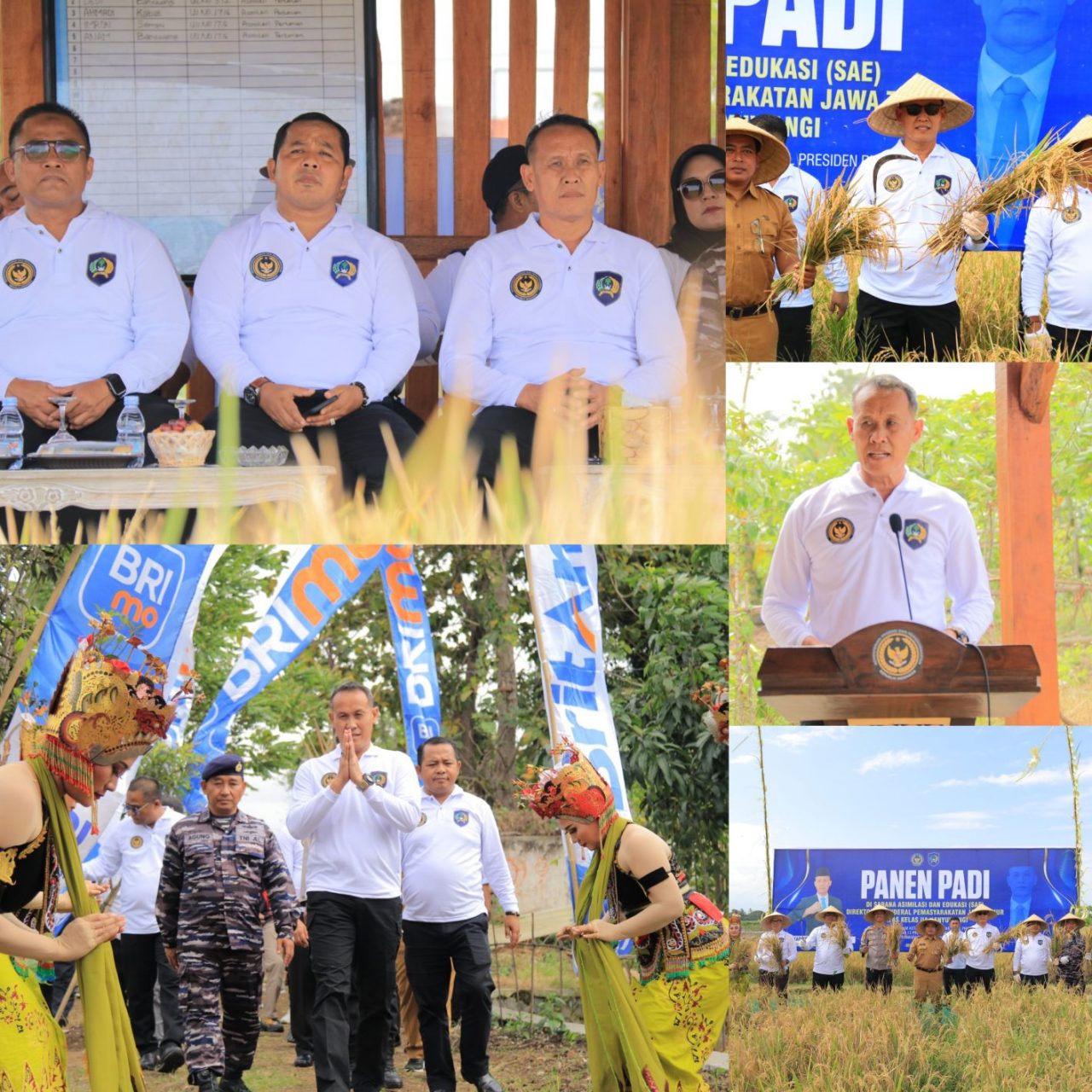 Kakanwil Ditjenpas Jatim Pimpin Panen Raya Padi di SAE Lapas Banyuwangi