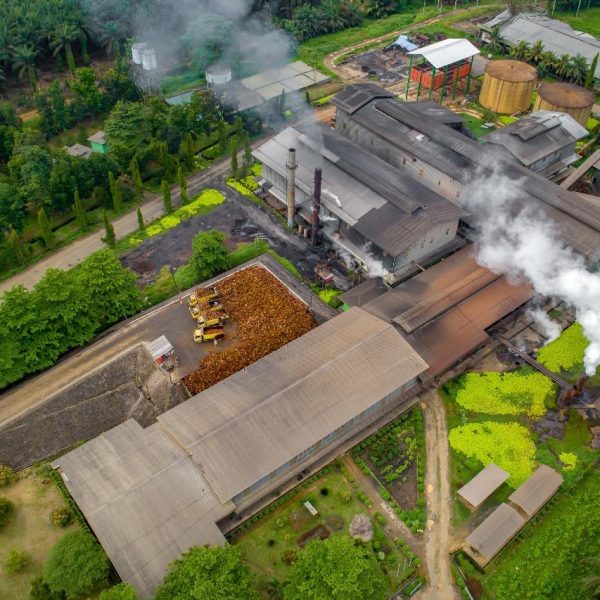 Ini Langkah PalmCo Perkuat Peran Strategis Jaga Ketahanan Pangan Nasional