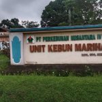 Dugaan Penyimpangan Anggaran PTPN