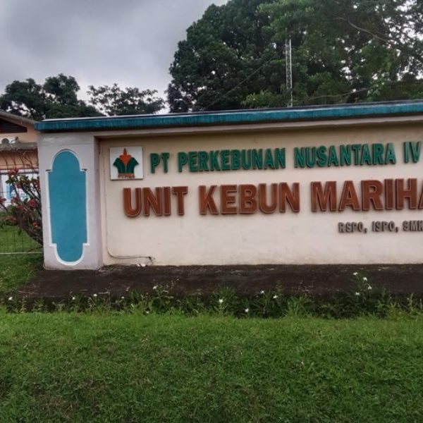 Dugaan Penyimpangan Anggaran PTPN IV Kebun Marihat Kembali Mencuat: Anggaran Rutin, Tapi Perawatan Terbengkalai
