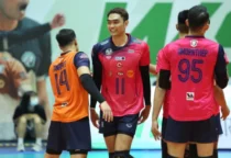 incar juara 5 AVC Men’s