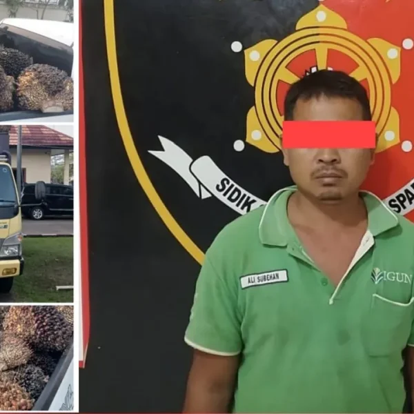 Gegara Gelapkan Buah Sawit Perusahaan, SP Kini Mendekam di Balik Jeruji Besi