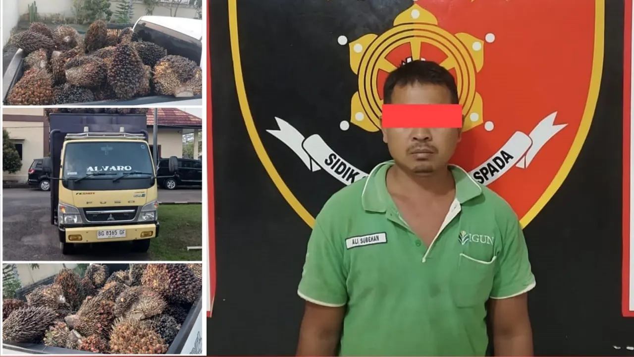 buah sawit perusahaan