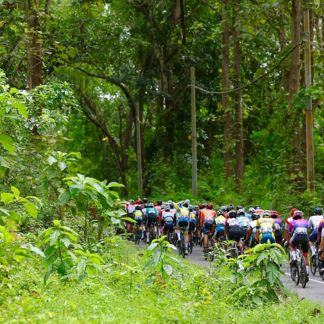 Etape Tiga TdBI Jadi Penentu Awal Jelang Salah Satu Tanjakan Terberat di Asia