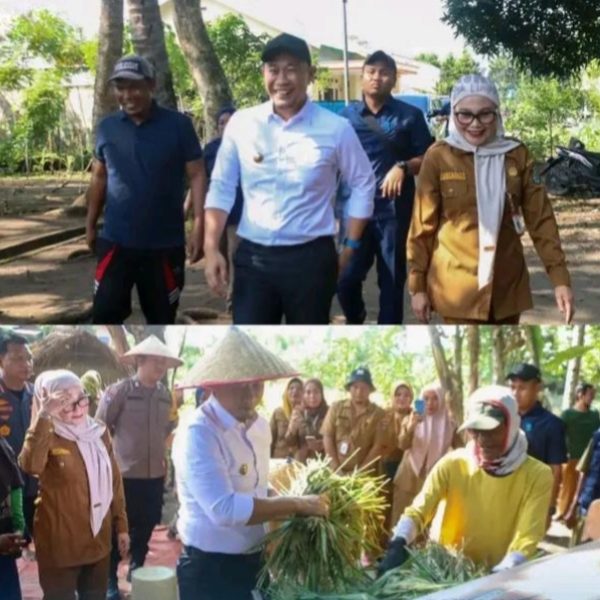 Wali Kota Lubuk Linggau Panen Raya, Dukung Program Swasembada Pangan Presiden RI