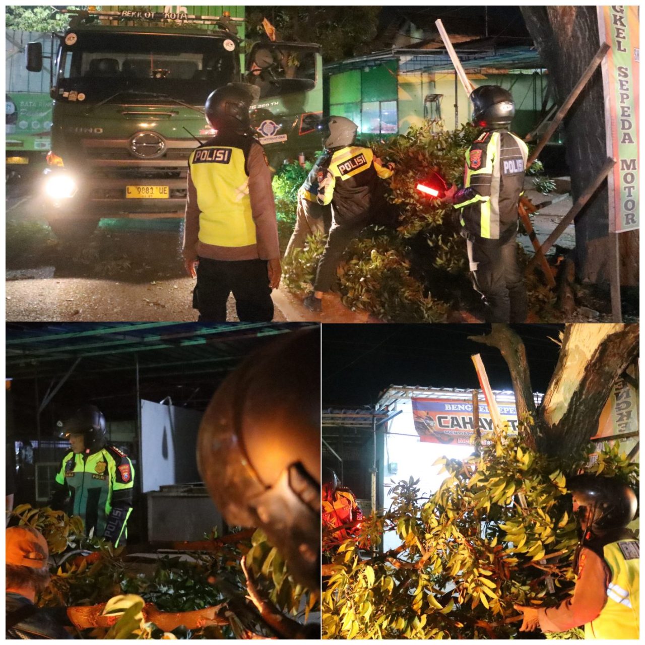 Respon Cepat; Polresta Banyuwangi Lakukan Evakuasi Pohon Tumbang Di Jalan Wilayah Kalipuro