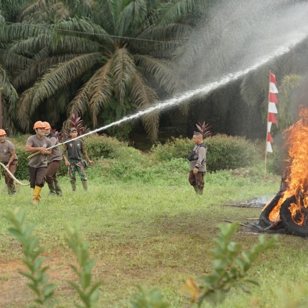 Holding Perkebunan Nusantara Perkuat Kesiapsiagaan Karhutla, PTPN IV Regional V Gelar Latihan Gabungan