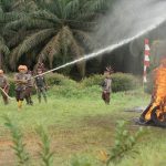 holding perkebunan nusantara