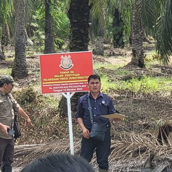 Meski Divonis 10 Tahun Penjara, Akuang Tak Ditahan dan Diduga Masih Panen Sawit di Hutan Negara