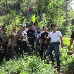 penjual ganja online