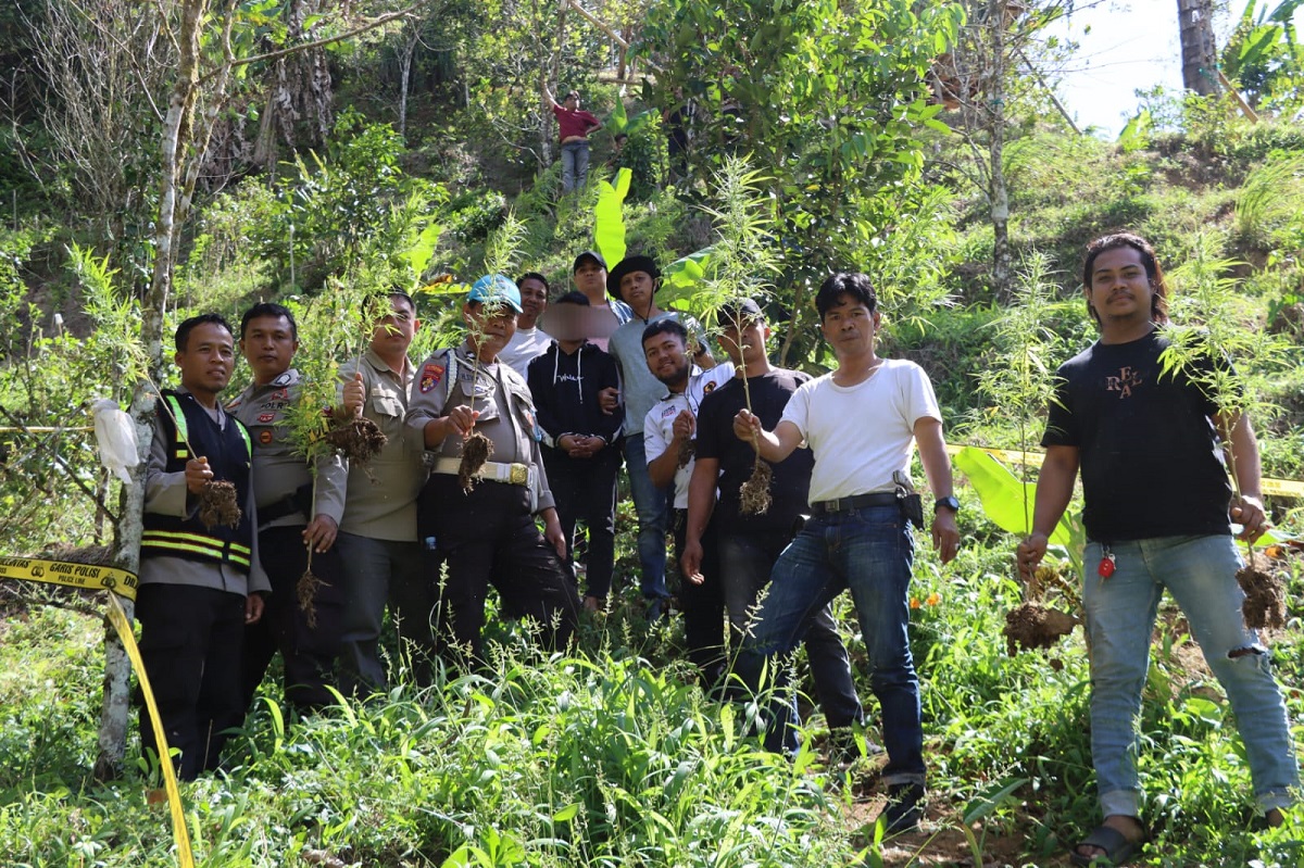 penjual ganja online