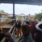 Antri Gas Melon Subsidi Semakin Jadi Tradisi, Rakyat Perlu Solusi