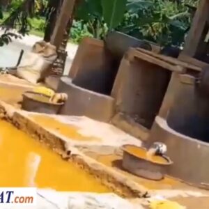 “Gelundung Ilegal di Pesawaran Terus Beroperasi, Menantang Himbauan DPRD – Warga: Seolah Kebal Hukum”