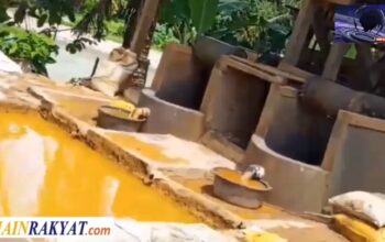 “Gelundung Ilegal di Pesawaran Terus Beroperasi, Menantang Himbauan DPRD – Warga: Seolah Kebal Hukum”