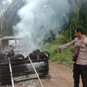 Pencurian Buah Kelapa Sawit Milik KUD Usaha Bersama Diseruyan Tengah,Dua Pelaku DPO.