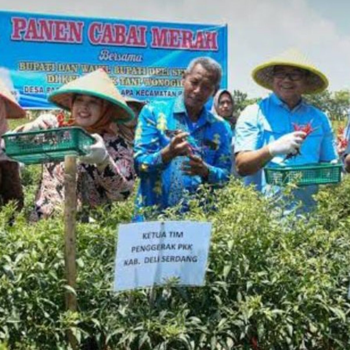 Bupati Genjot Program Unggulan Ketahanan Pangan, Deli Serdang Raih Prestasi Inflasi Terendah Per Januari 2026