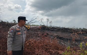 Cegah Karhutla,Polsek Hanau Lakukan Pengecekan Langsung Lokasi Titik Panas di Danau Seluluk.