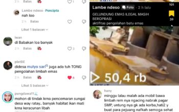 Viral Unggahan TikTok Ungkap Tambang Emas Diduga Ilegal Tetap Beroperasi di Pesawaran’ Netizen Geram!