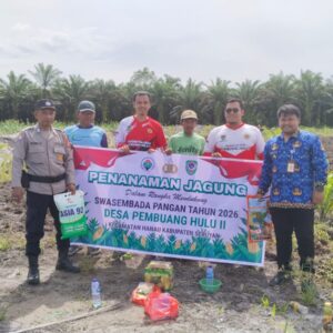 Siap Dukung Swasembada Pangan,Lahan Desa Pembuang Hulu ll di Tanami Jagung.