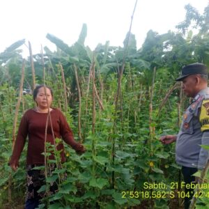 Ramadan Jadi Momentum Penguatan Ketahanan Pangan, Bhabinkamtibmas Polsek Talang Kelapa Turun Langsung ke Warga