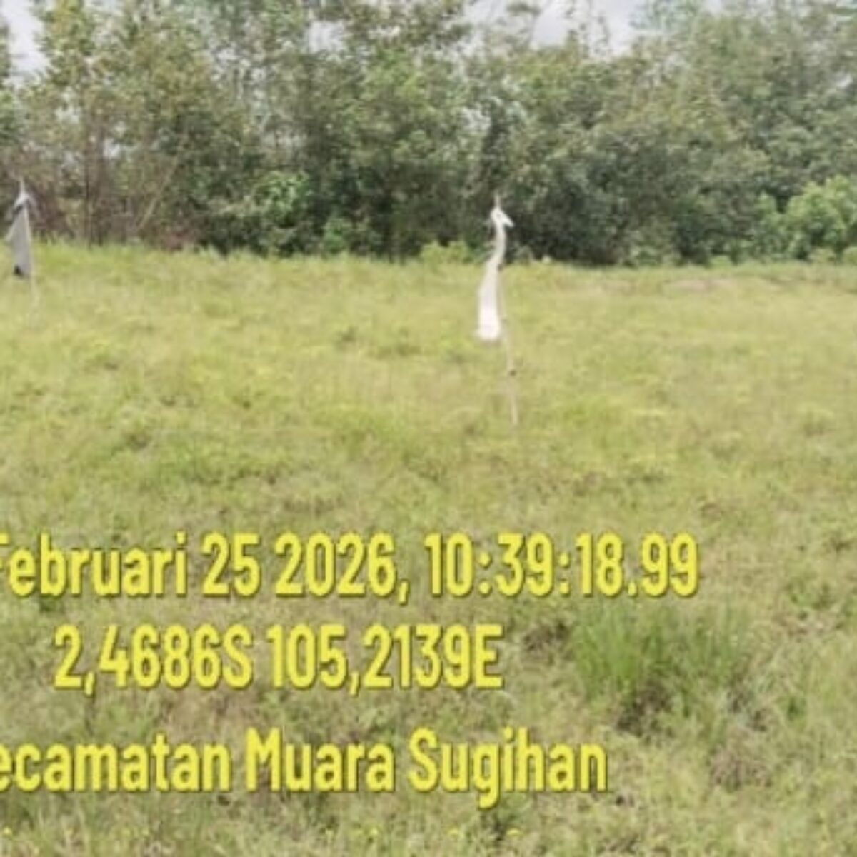 Lahan 30×30 Meter Disulap Jadi Kebun Terong, Bhabinkamtibmas Polsek Muara Padang Dorong Warga Mandiri Pangan