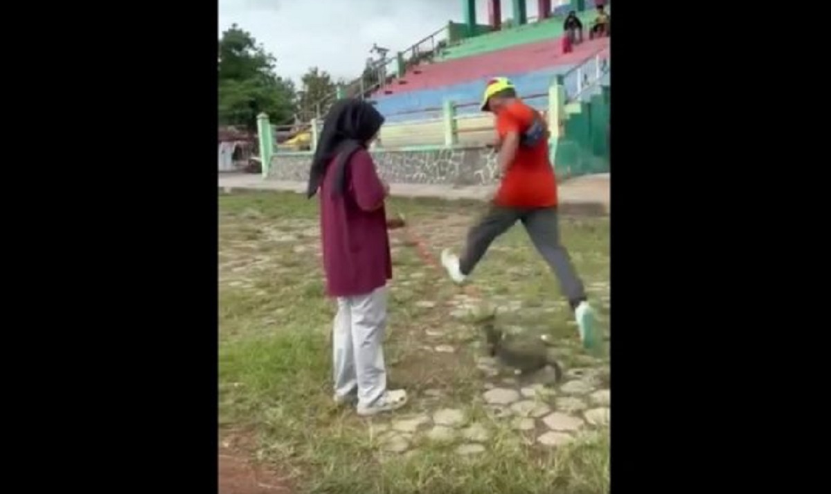 viral penganiaya kucing