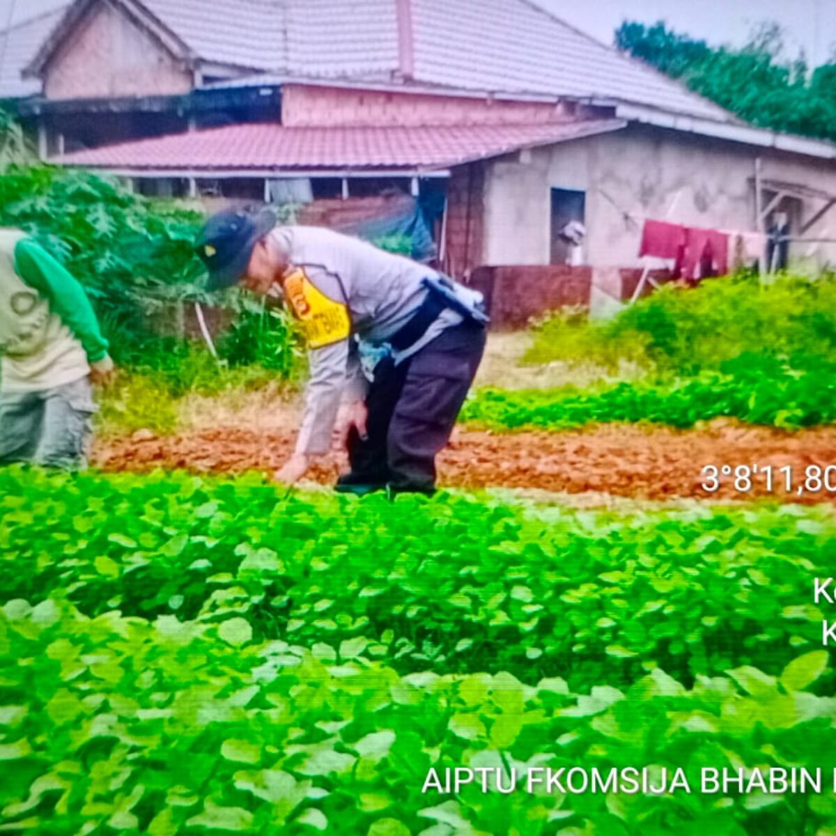 Dukung Swasembada Pangan, Bhabinkamtibmas Polsek Rambutan Gerakkan Masyarakat Desa Gelebak Dalam