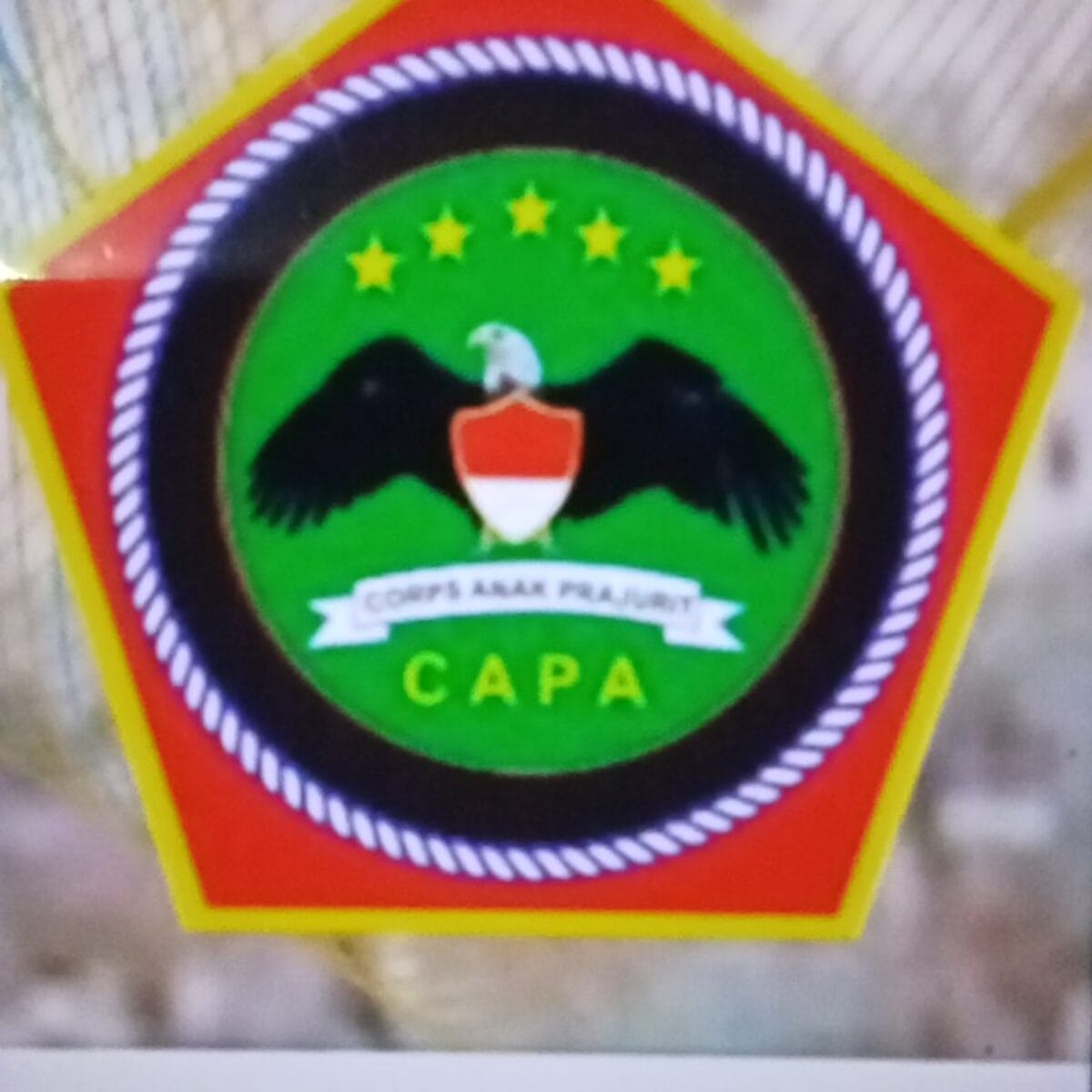 DPD CAPA Kalimantan Tengah Terbentuk