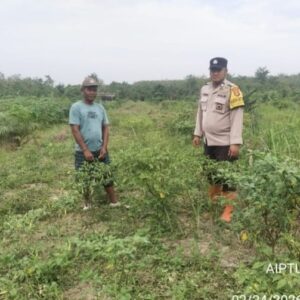 Bhabinkamtibmas Polsek Tungkal Ilir Ajak Warga Manfaatkan Pekarangan untuk Dukung Ketahanan Pangan