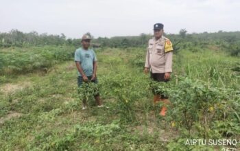 Bhabinkamtibmas Polsek Tungkal Ilir Ajak Warga Manfaatkan Pekarangan untuk Dukung Ketahanan Pangan