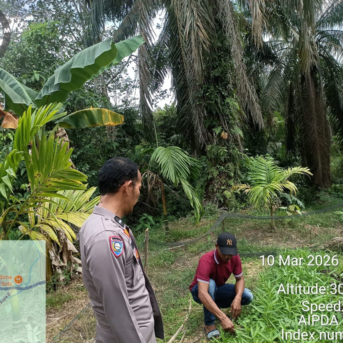 Bhabinkamtibmas Polsek Betung Turun ke Sawah, Ajak Masyarakat Sukseskan Program Swasembada Pangan