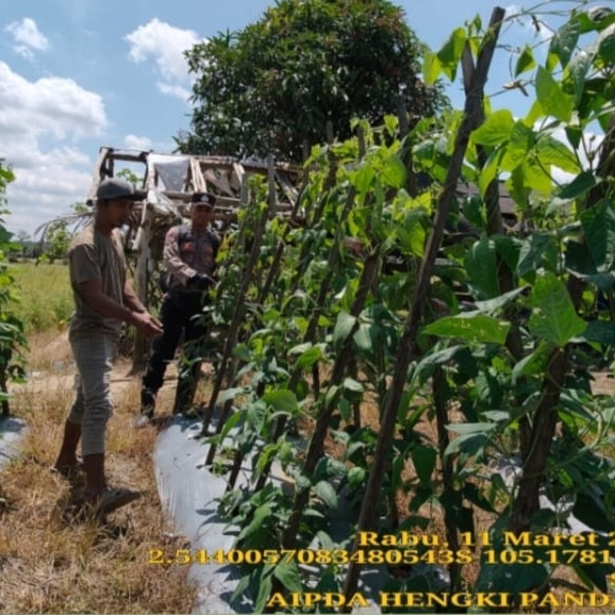 Bhabinkamtibmas Polsek Muara Padang Ajak Warga Sugihwaras Manfaatkan Pekarangan untuk Ketahanan Pangan