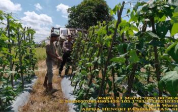 Bhabinkamtibmas Polsek Muara Padang Ajak Warga Sugihwaras Manfaatkan Pekarangan untuk Ketahanan Pangan